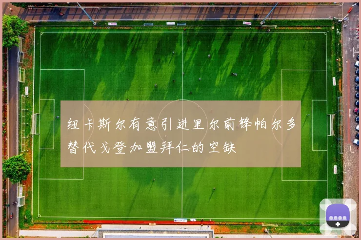 纽卡斯尔有意引进里尔前锋帕尔多替代戈登加盟拜仁的空缺