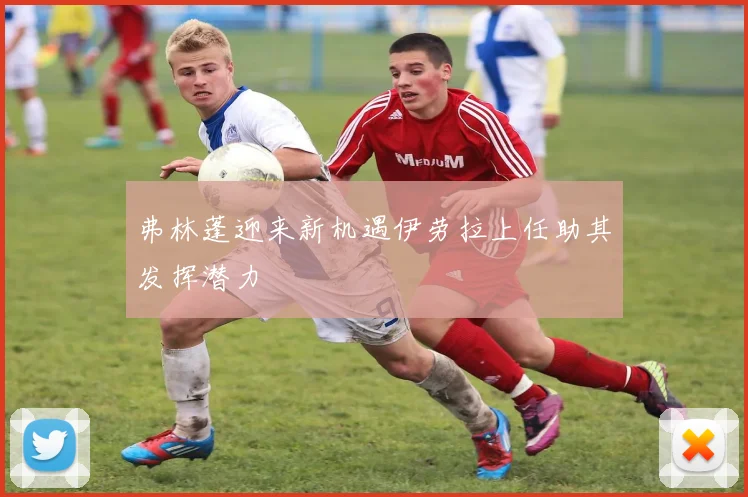 弗林蓬迎来新机遇伊劳拉上任助其发挥潜力