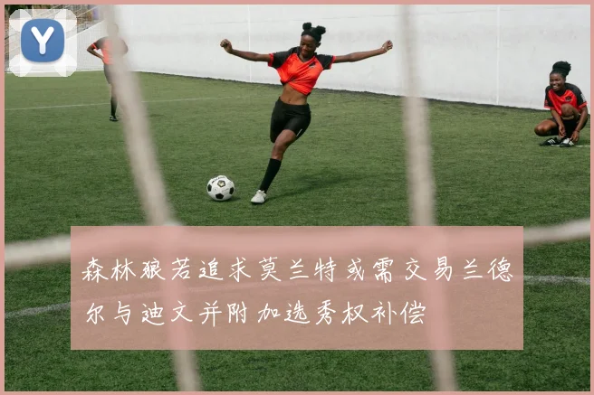森林狼若追求莫兰特或需交易兰德尔与迪文并附加选秀权补偿